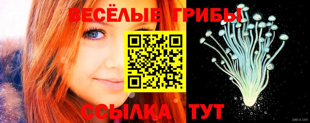 Галлюциногенные грибы MAGIC MUSHROOMS  Вход с VPN  Нижнекамск  Псилоцибиновые грибы Psilocybine cubensis 